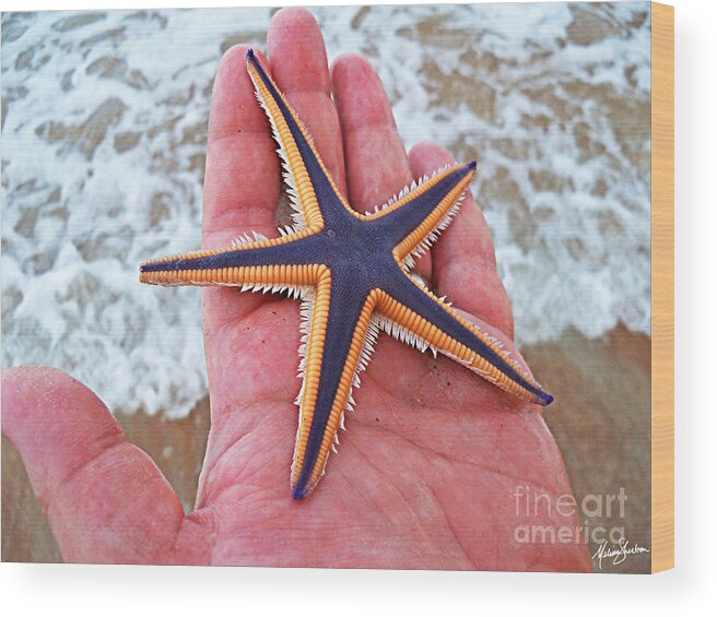 Star Wood Print featuring the photograph Royal Starfish - Ormond Beach Florida by Melissa Fae Sherbon