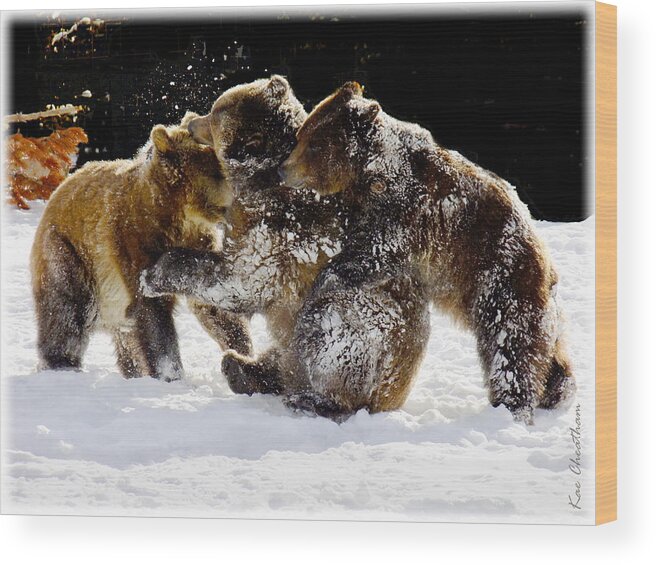 Grizzlies Wood Print featuring the photograph 300 Pound Playmates by Kae Cheatham