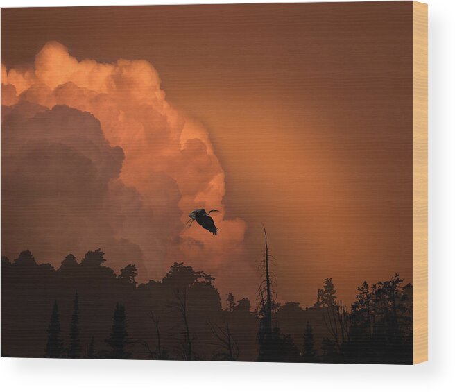 Animal Wood Print featuring the photograph 3680 by Peter Holme III