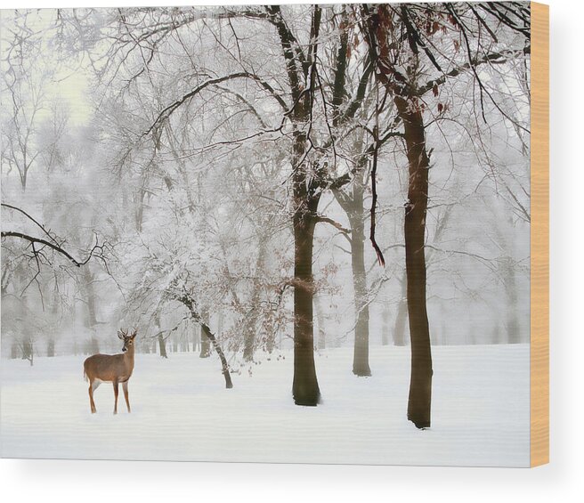 Winter Wood Print featuring the photograph Winter's Breath by Jessica Jenney