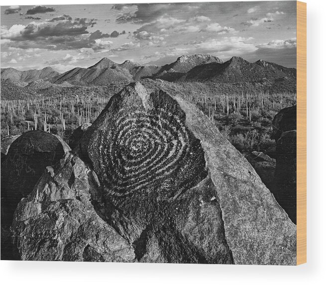 Arizona Wood Print featuring the photograph USA, Arizona, Saguaro National Park #9 by Jaynes Gallery