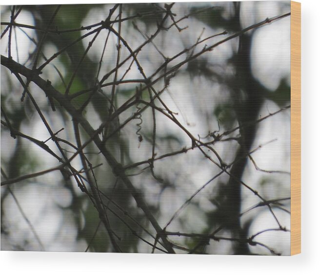 Mico Wood Print featuring the photograph A close view by Aaron Martens