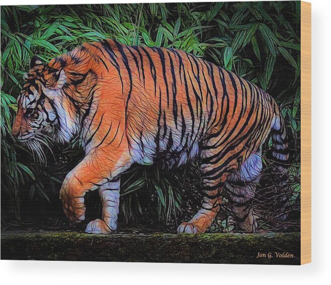 Tiger On The Prowl Wood Print featuring the painting A Grumpy Tiger by Jon Volden