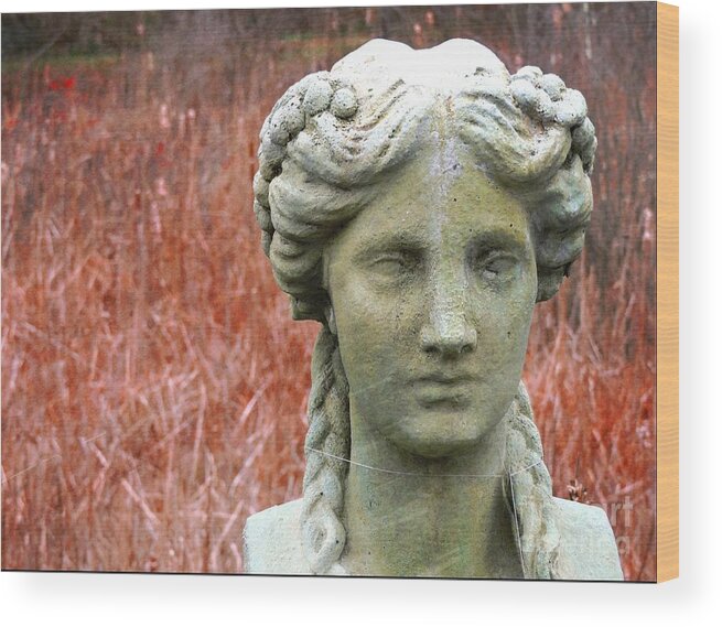 Sculpture Wood Print featuring the photograph A Head Above All by Marcia Lee Jones