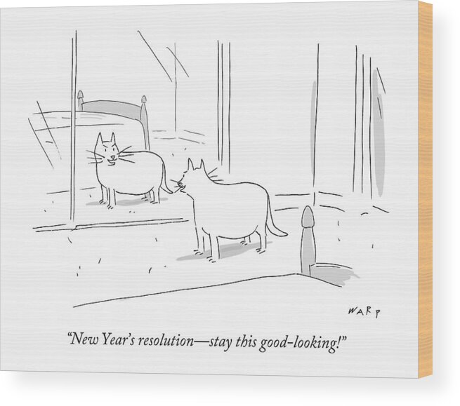 #condenastnewyorkercartoon Wood Print featuring the drawing A Plump Cat Looks In A Mirror by Kim Warp