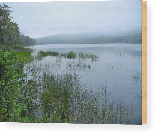 Mist Wood Print featuring the photograph A Poetry of Mist by Lynda Lehmann