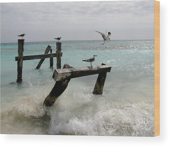 Photography Wood Print featuring the photograph Abandoned pier by Sean Griffin