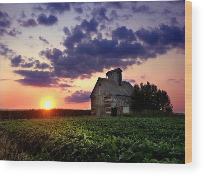 Sunset Wood Print featuring the photograph Abandoned Sentinel by Rod Seel