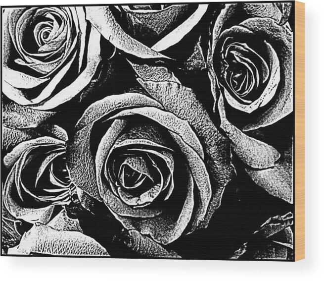 Roses Wood Print featuring the photograph Dark Star Roses For David Bowie by Kathy Barney