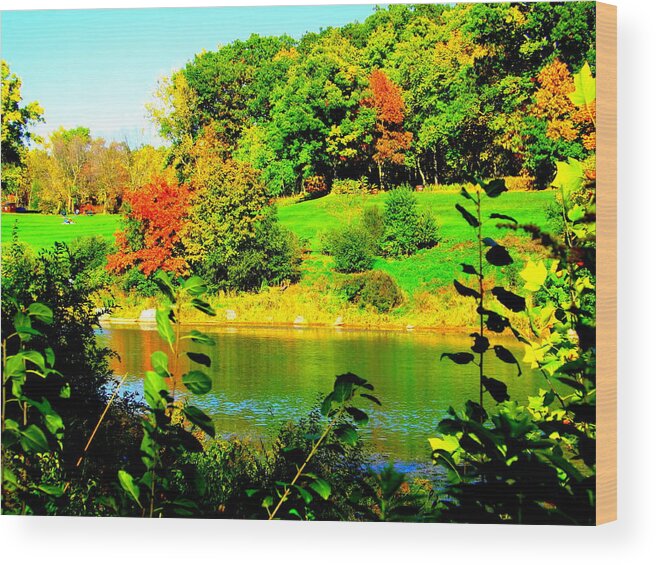 Across The Pond Wood Print featuring the photograph Across the Pond by Darren Robinson