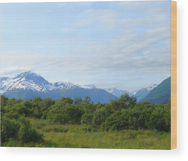 Alaska Wood Print featuring the photograph Alaska 17 by Lew Davis