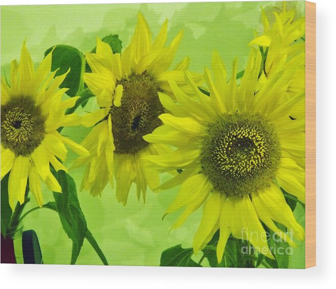 Colorful Wood Print featuring the photograph Alaskan Sunflowers by Brigitte Emme