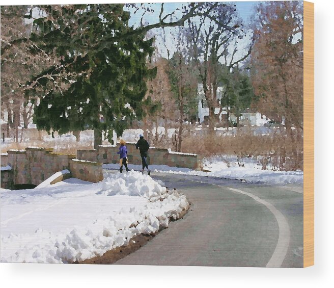 Allentown Pa Wood Print featuring the photograph Allentown PA Trexler Park Winter Exercise by Jacqueline M Lewis