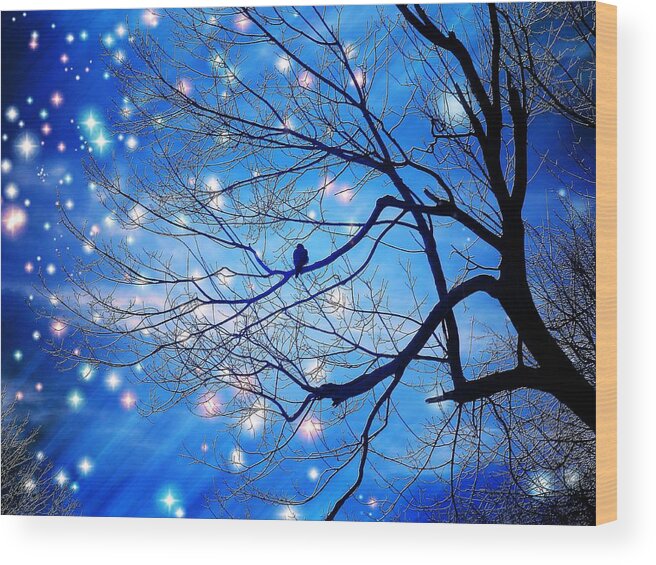 Bird Wood Print featuring the photograph Alone With The Stars by Zinvolle Art