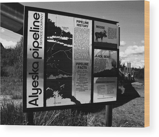 North America Wood Print featuring the photograph Alyeska Pipeline by Juergen Weiss
