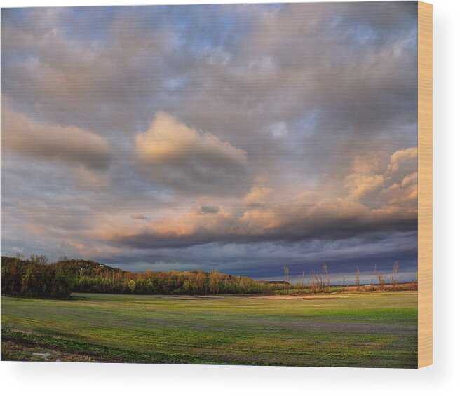 And The Earth Now Awakens Wood Print featuring the photograph And the Earth Now Awakens by William Fields