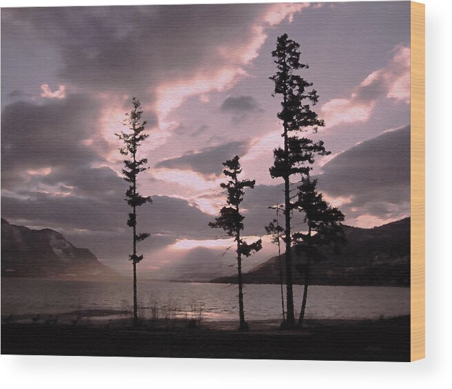 Sunset Wood Print featuring the photograph Anniversary Afternoon by Kathy Bassett