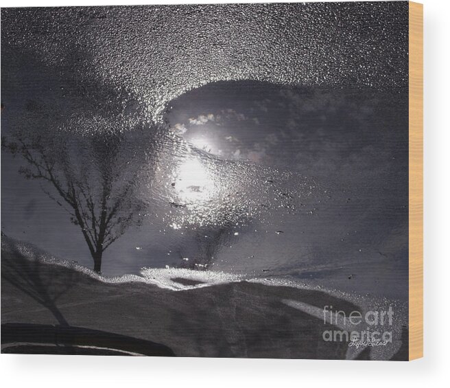 Landscape Wood Print featuring the photograph Another World by Lyric Lucas