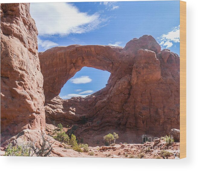 Arches Wood Print featuring the photograph Arches in the Distance by Elizabeth M