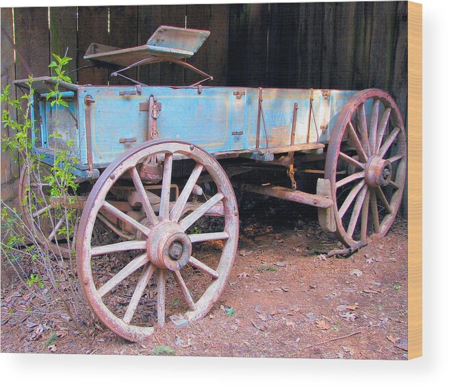 Agriculture Wood Print featuring the photograph At Rest by Lora Fisher