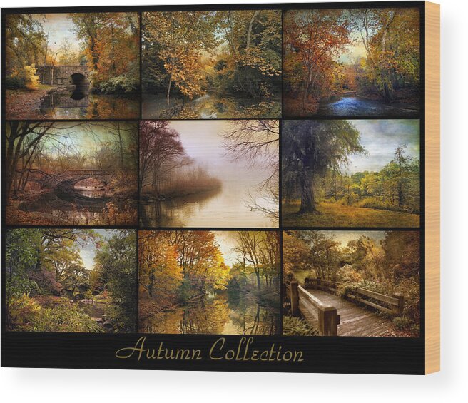 Poster Wood Print featuring the photograph Autumn Collage by Jessica Jenney