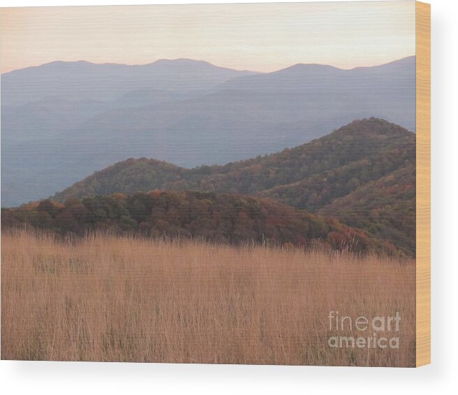 Grass Wood Print featuring the photograph Autumn in the Smokies II by Anita Adams