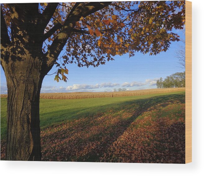 Skompski Wood Print featuring the photograph Autumn Landscape by Joseph Skompski
