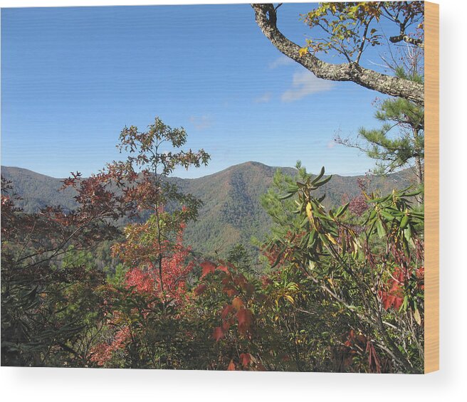 Great Smoky Mountains National Park Wood Print featuring the photograph Autumn Smoky Mountains by Melinda Fawver