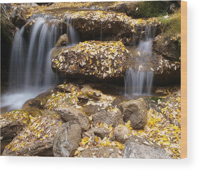 Elko Nevada Landscape Photography Wood Print featuring the photograph Autumn Waterfall by Jenessa Rahn