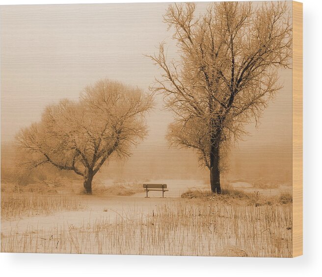 Winter Wood Print featuring the photograph Baby it's cold outside by HW Kateley