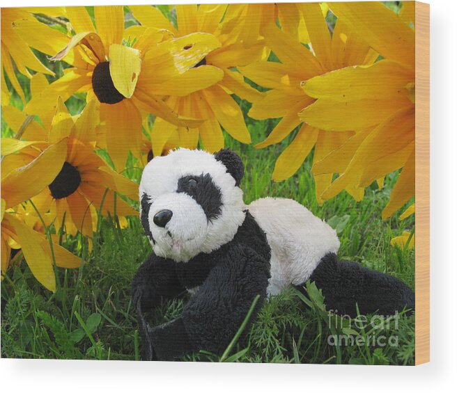 Baby Panda Wood Print featuring the photograph Baby panda under the golden sky by Ausra Huntington nee Paulauskaite