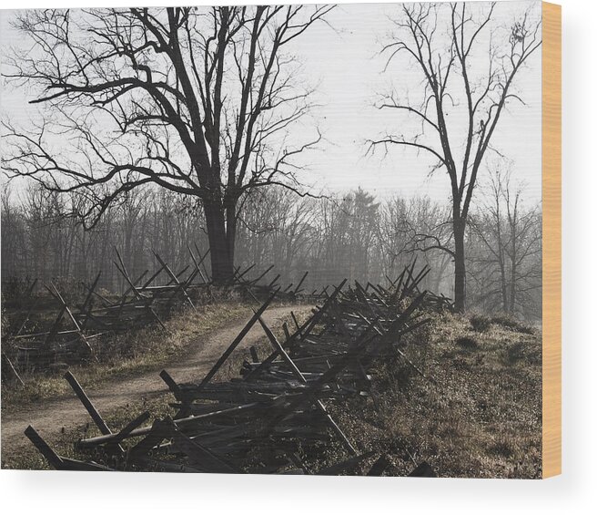 Dirt Road Wood Print featuring the photograph Battlefield Trail by Andy Smetzer