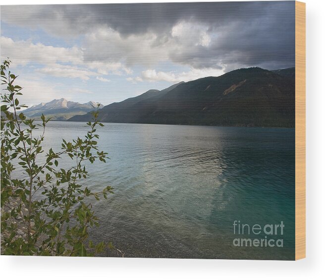Muncho Lake Wood Print featuring the photograph Beautiful Color by Tara Lynn