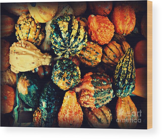 Gourds Wood Print featuring the photograph Beautiful Gourds - Harbingers of Fall by Miriam Danar