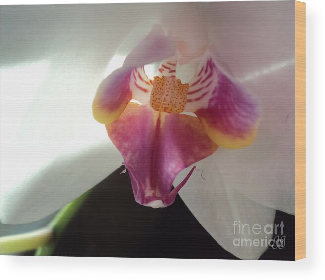 Floral Wood Print featuring the photograph Beauty Is Truth by Geri Glavis