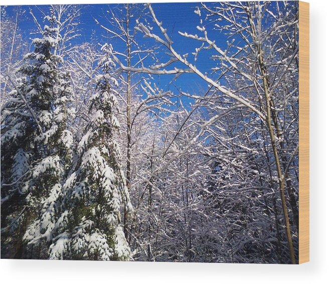 Winter Wood Print featuring the photograph Beck Shore majesty by Pat Purdy