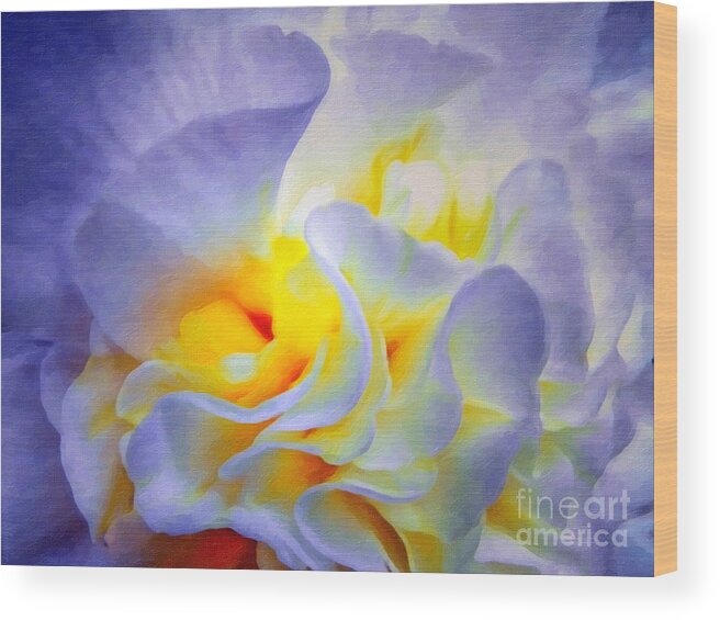 Begonia Wood Print featuring the digital art Begonia Shadows II Painting by Lianne Schneider