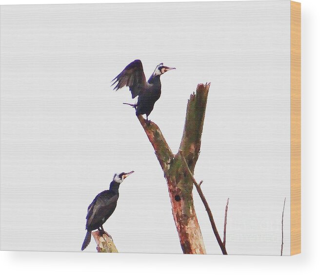 Birds Wood Print featuring the photograph Birds on the way to fly by Karin Ravasio