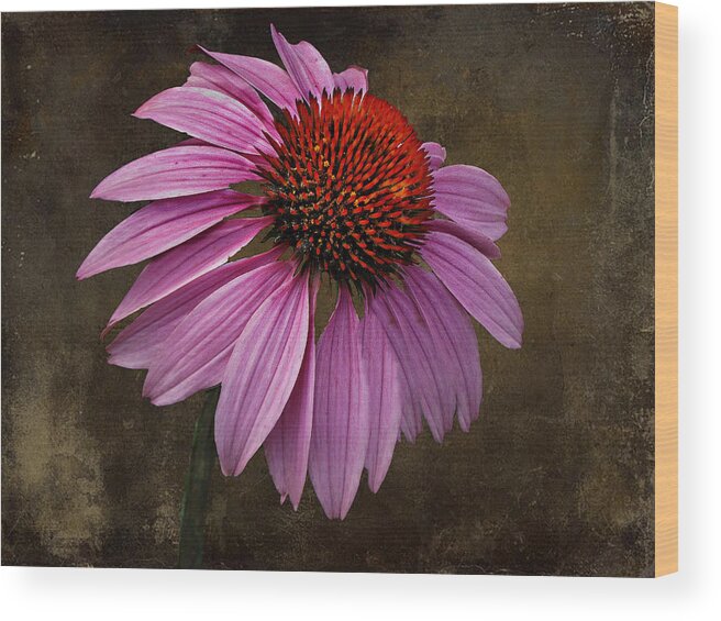 Flower Wood Print featuring the photograph Bittersweet Memories by David Dehner
