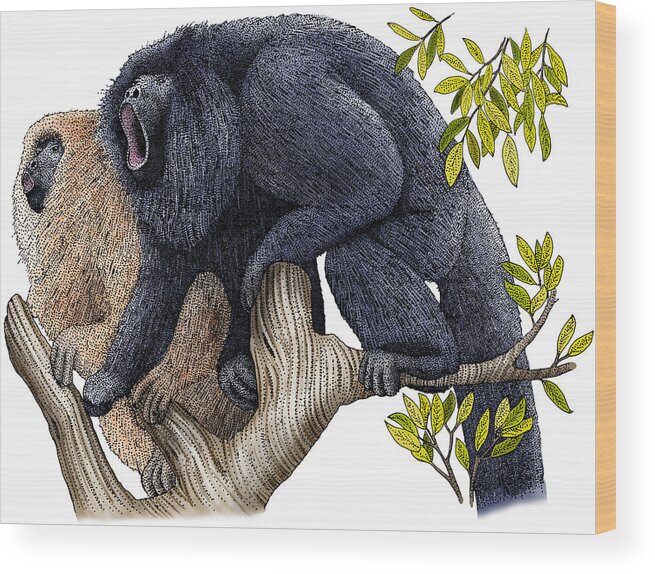 Illustration Wood Print featuring the photograph Black Howler Monkeys by Roger Hall