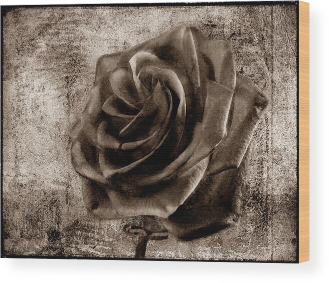 Rose Wood Print featuring the photograph Black Rose Eternal Sepia by David Dehner