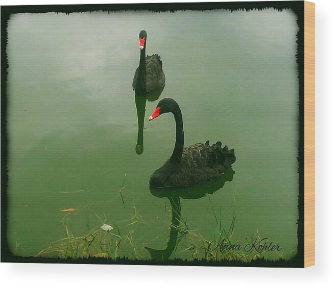 Black Swans Wood Print featuring the photograph Black Swan Delight by Anna Kohler