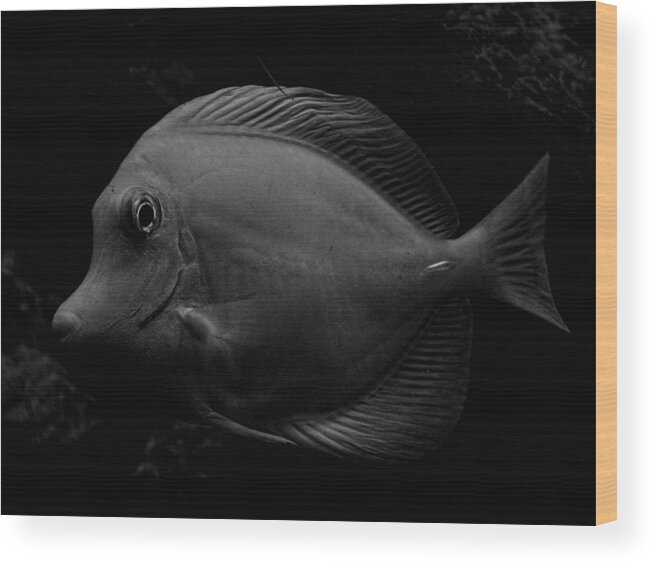 Fish Wood Print featuring the photograph Blackened Fish by Wendy J St Christopher