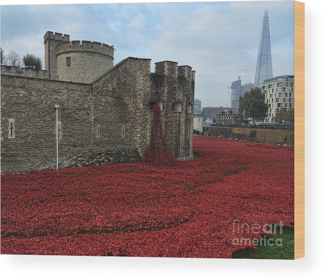 Poppies Wood Print featuring the photograph Blood Swept Lands 4 by Chris Thaxter