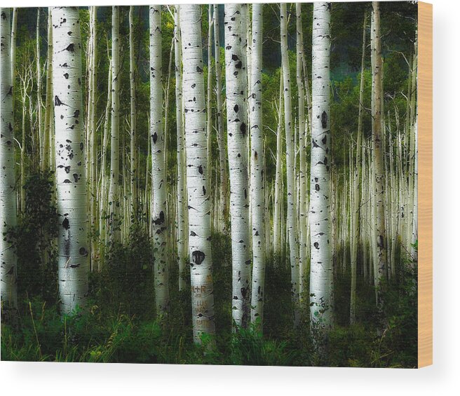 Aspens Wood Print featuring the photograph Blue Mood Aspens I by Lanita Williams