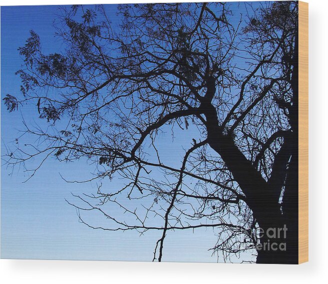 Blue Wood Print featuring the photograph Blue Sky by Andrea Anderegg