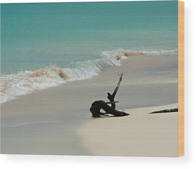 Barbuda Wood Print featuring the photograph Breathtaking Barbuda by Kimberly Perry