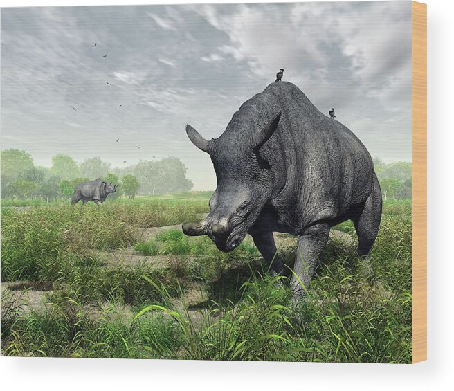 Brontotherium Sp. Wood Print featuring the photograph Brontotherium by Walter Myers