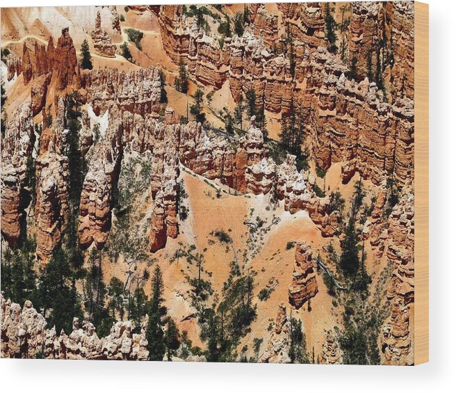 Bryce Canyon Wood Print featuring the photograph Bryce Canyon 291 by Maria Huntley