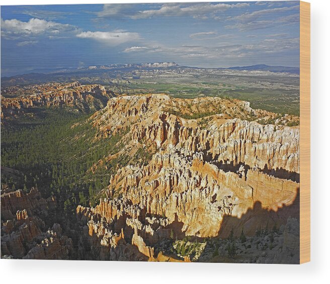 Feb0514 Wood Print featuring the photograph Bryce Canyon Np From Bryce Point Utah by Tim Fitzharris